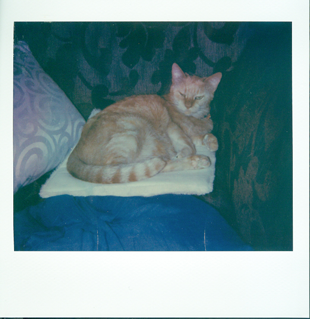 Do you find yourself curling up on your favourite place on the sofa during lockdown?